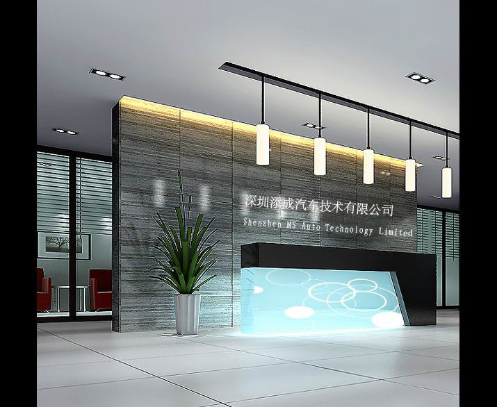 Shenzhen MS Auto Technology Limited